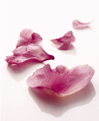 Petali di peonia